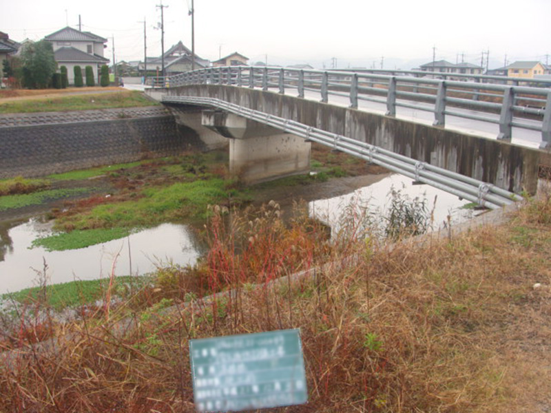 橋梁耐火防護(プレキャスト工法)